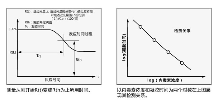 内毒素检测仪