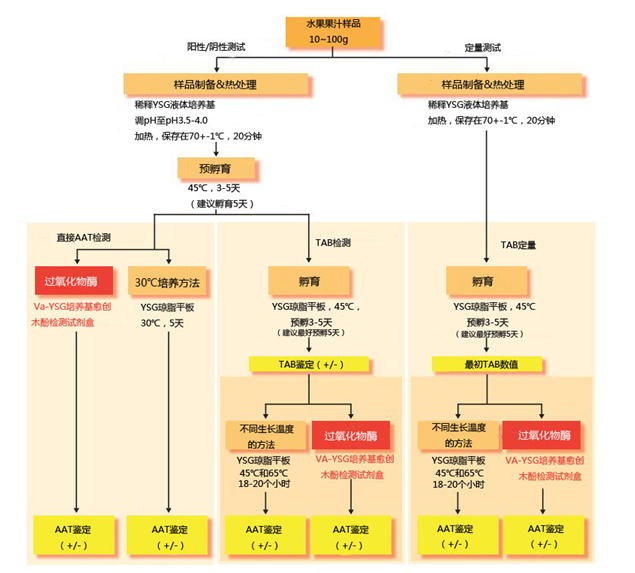 愈创木酚检测试剂盒