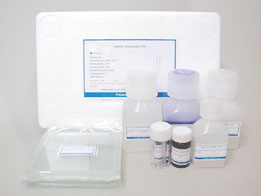 明胶酶谱试剂盒（COSMOBIO）