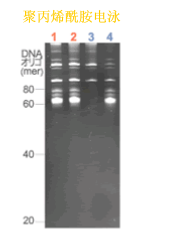 ISOGEN II RNA抽提试剂