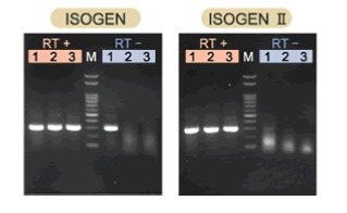 ISOGEN II RNA抽提试剂