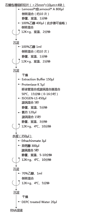 石蜡包埋组织切片RNA提取试剂盒