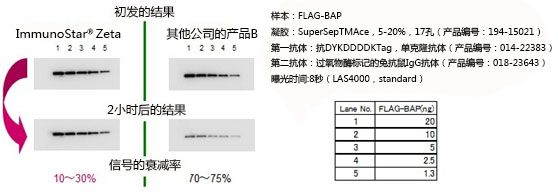 免疫印迹用化学发光试剂ImmunoStar® 系列