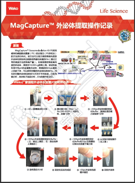 MagCapture™ 外泌体提取试剂盒