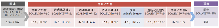SCALEVIEW-S