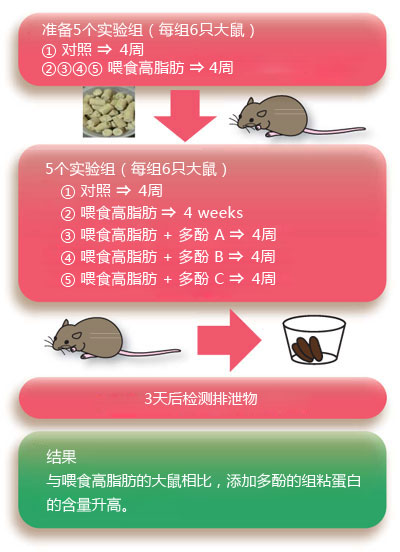 粘蛋白检测试剂盒
