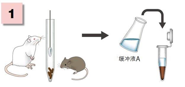粘蛋白检测试剂盒
