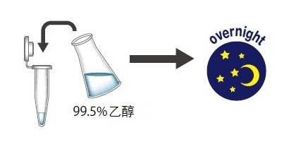 粘蛋白检测试剂盒