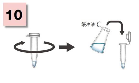粘蛋白检测试剂盒