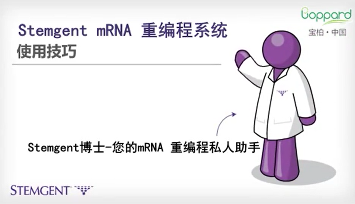 Stemgent RNA™ -NM重编程试剂盒
