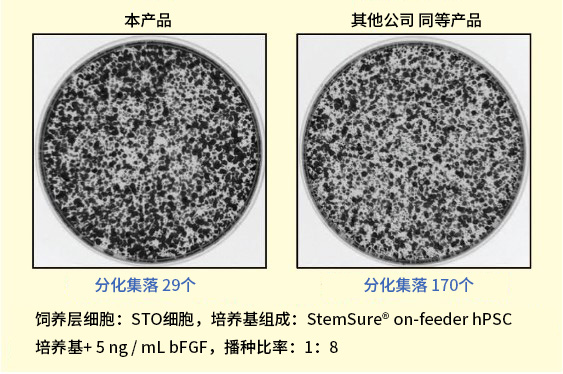 StemSure® on-feeder hPSC培养基