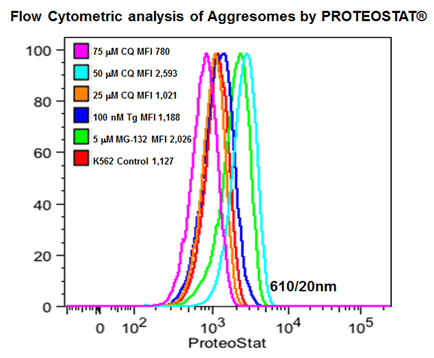 ProteoStat 蛋白聚集小体检测试剂盒