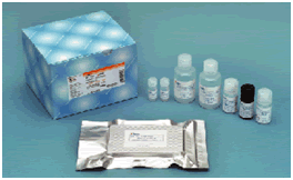β-Amyloid ELISA 试剂盒