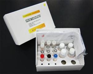 2-脱氧葡萄糖(2DG)摄入检测试剂盒