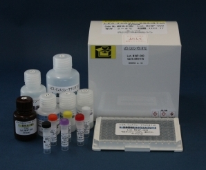Shibayagi 小鼠胰岛素 ELISA试剂盒（RTU）