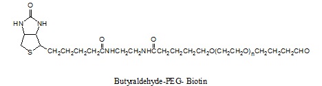 Laysan 丁醛-PEG-生物素 ButyrAldehyde-PEG-Biotin (bALD-PEG-Biotin)