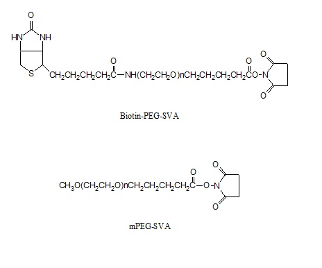生物素-PEG-琥珀酰亚胺戊酸酯和聚乙二醇-琥珀酰亚胺戊酸酯套装 Biotin-PEG-SVA_mPEG-SVA