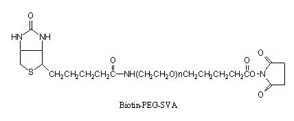 Laysan 生物素-PEG-琥珀酰亚胺戊酸酯 Biotin-PEG-SVA