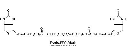 Laysan 生物素-PEG-生物素 Biotin-PEG-Biotin
