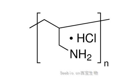 金畔生物授权独家代理APSC Poly(allylamine) Hydrochloride