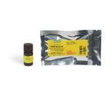 Nonmagnetic Beads and Related Reagents | Bio-Rad Laboratories