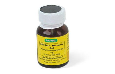 Affi-Gel® 硼酸盐凝胶 | Bio-Rad Laboratories