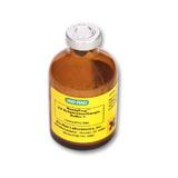 ReadyPrep™ 萃取和增溶试剂 | Bio-Rad Laboratories