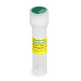 未染 SDS-PAGE 标准品 | Bio-Rad Laboratories