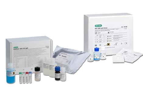 Epstein-Barr Virus  | Bio-Rad Laboratories
