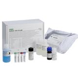 Epstein-Barr Virus | Bio-Rad Laboratories