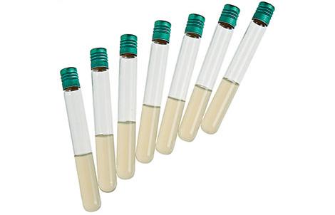 Stock Culture Agar | Bio-Rad Laboratories