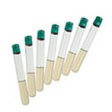 Stock Culture Agar | Bio-Rad Laboratories