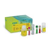 iQ-Check Listeria monocytogenes II PCR Detection Kit | Bio-Rad Laboratories