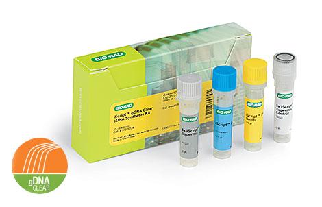 iScript™ gDNA Clear cDNA Synthesis Kit  | Bio-Rad Laboratories