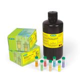 iMark Microplate Absorbance Reader | Bio-Rad Laboratories