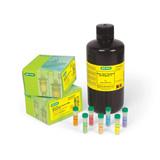 iMark Microplate Absorbance Reader | Bio-Rad Laboratories