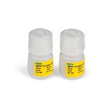 1-Step RT-ddPCR Kit for Probes | Bio-Rad Laboratories