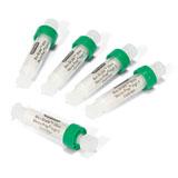 Bio-Scale™ Mini Macro-Prep® High Q 和 Macro-Prep High S 预装柱 | Bio-Rad Laboratories
