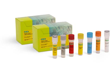Reliance Select cDNA Synthesis Kit | Bio-Rad Laboratories