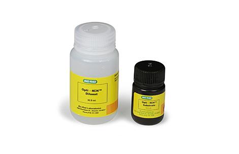 Immun-Blot® Opti-4CN™ 比色试剂盒 | Bio-Rad Laboratories