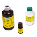 Immun-Blot® Opti-4CN™ 比色试剂盒 | Bio-Rad Laboratories