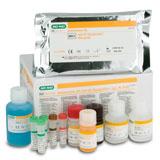 抗 β2 糖蛋白 I 类(抗 β2GPI)测定 | Bio-Rad Laboratories