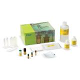 Trans-Blot® Turbo™ Transfer System | Bio-Rad Laboratories