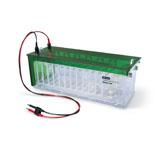 Criterion Dodeca 高通量电泳槽 | Bio-Rad Laboratories