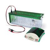 Criterion Dodeca 高通量电泳槽 | Bio-Rad Laboratories