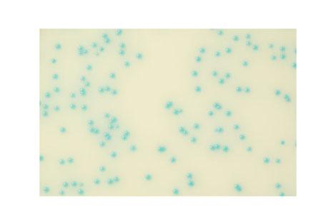 RAPID'Listeria spp. Medium | Bio-Rad Laboratories
