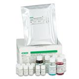 抗 CCP EIA | Bio-Rad Laboratories