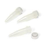 VINEO Brettanomytest PCR Kit | Bio-Rad Laboratories