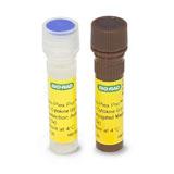 Bio-Plex Pro Mouse Chemokine Assays | Bio-Rad Laboratories