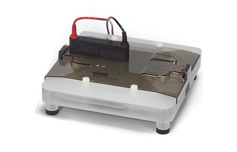 全凝胶洗脱仪和小型全凝胶洗脱仪 | Bio-Rad Laboratories